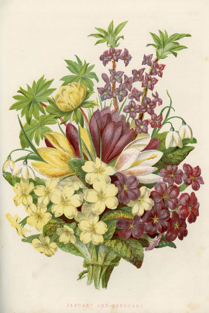 1858 vol. 14 - Jan Feb Flowers art print by London Almanack for $57.95 CAD