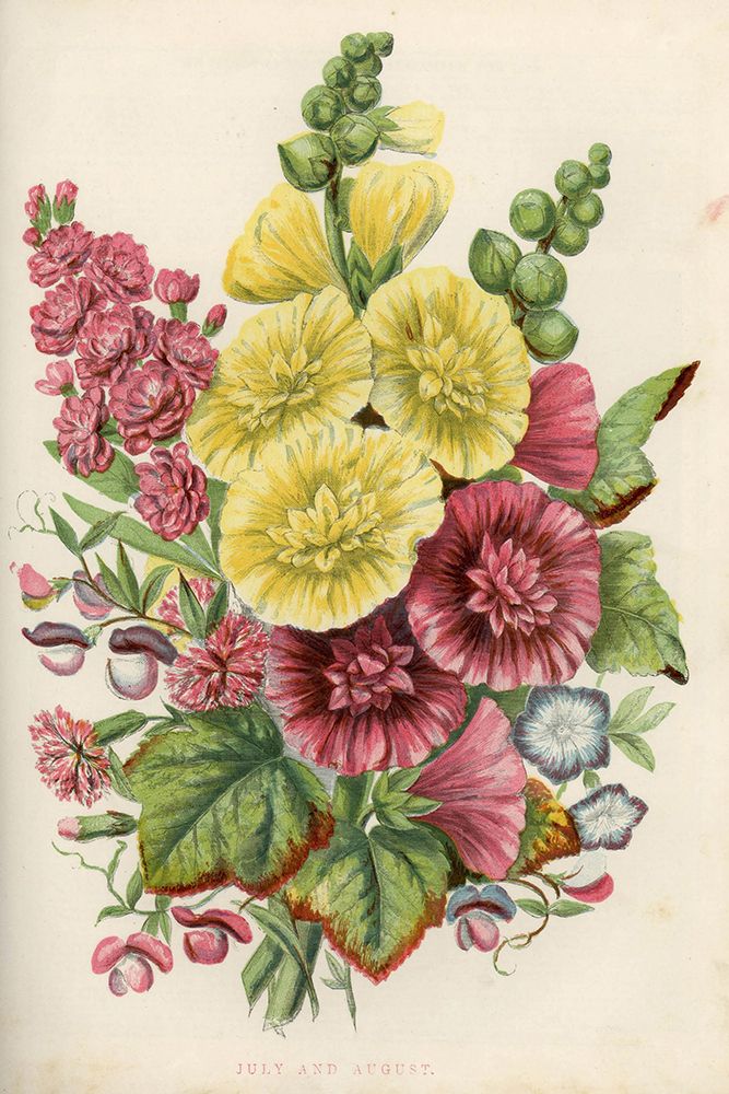 1858 vol. 14 - Jul Aug Flowers art print by London Almanack for $57.95 CAD