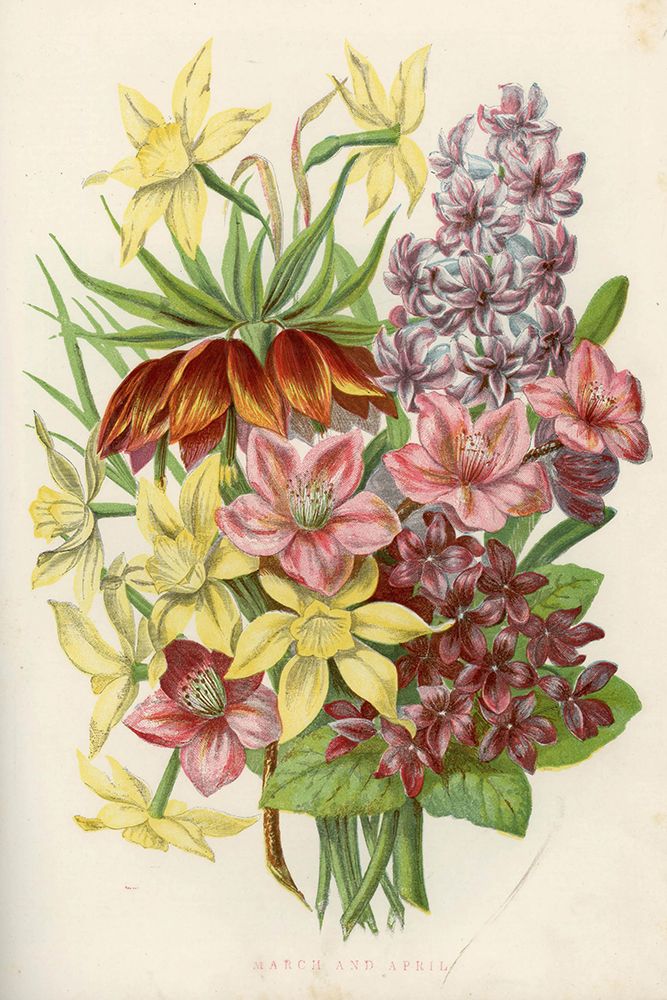 1858 vol. 14 - Mar Apr Flowers art print by London Almanack for $57.95 CAD