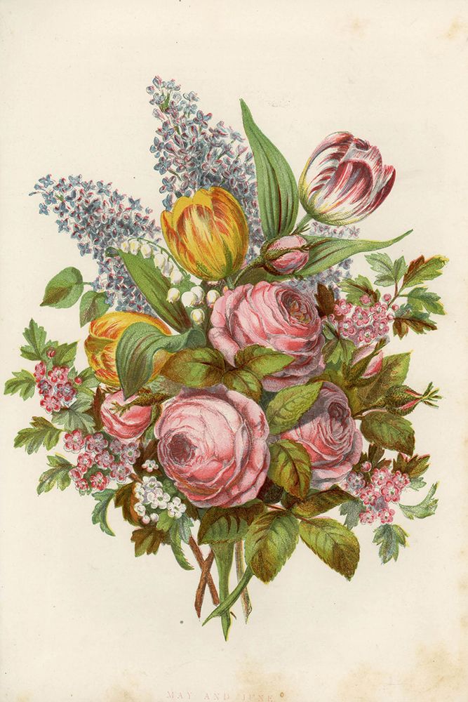 1858 vol. 14 - May June Flowers art print by London Almanack for $57.95 CAD