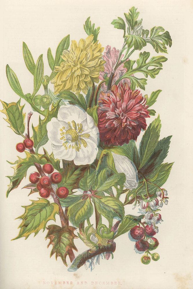 1858 vol. 14 - Nov Dec Flowers art print by London Almanack for $57.95 CAD