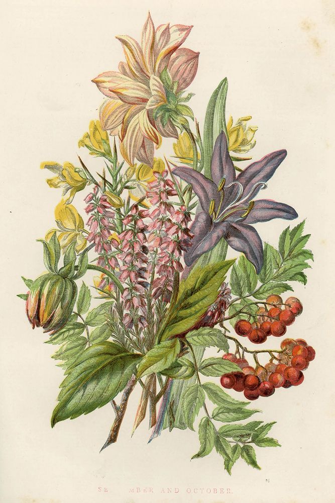 1858 vol. 14 - Sept Oct Flowers art print by London Almanack for $57.95 CAD