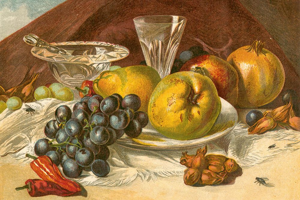 1861 vol. 17 - Jan and Feb Fruit art print by London Almanack for $57.95 CAD