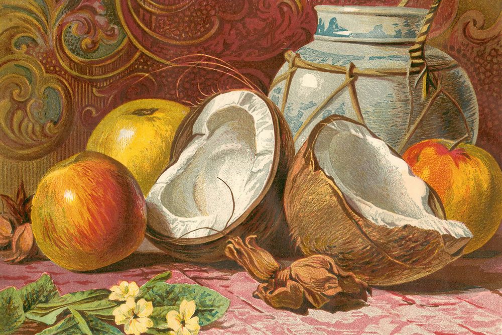 1861 vol. 17 - Mar and April coconut art print by London Almanack for $57.95 CAD