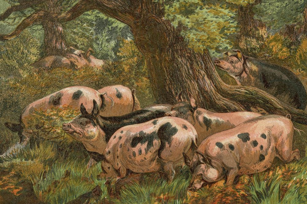 1862 vol. 18 - Autumn pigs art print by London Almanack for $57.95 CAD