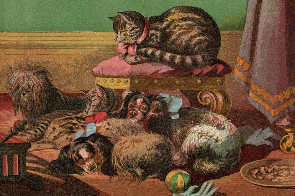 1862 vol. 18 - Cosy cats and dogs art print by London Almanack for $57.95 CAD