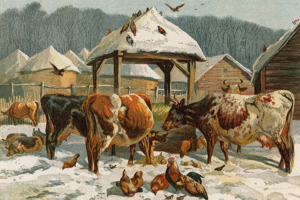 1862 vol. 18 - Farm animals in the snow art print by London Almanack for $57.95 CAD