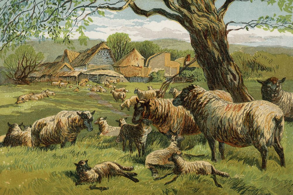 1862 vol. 18 - Spring Lambs art print by London Almanack for $57.95 CAD
