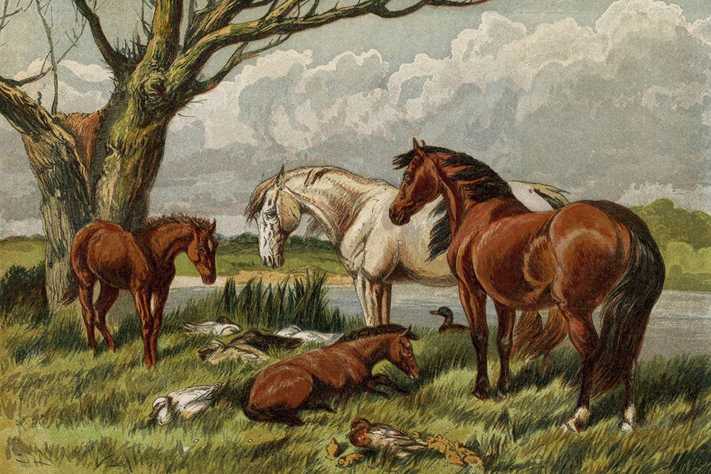 1862 vol. 18 - Summer Horses art print by London Almanack for $57.95 CAD