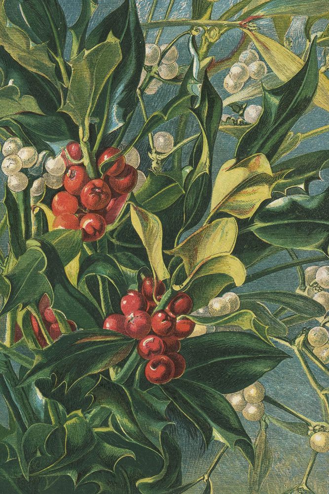 1863 vol. 19 - Winter Berries art print by London Almanack for $57.95 CAD
