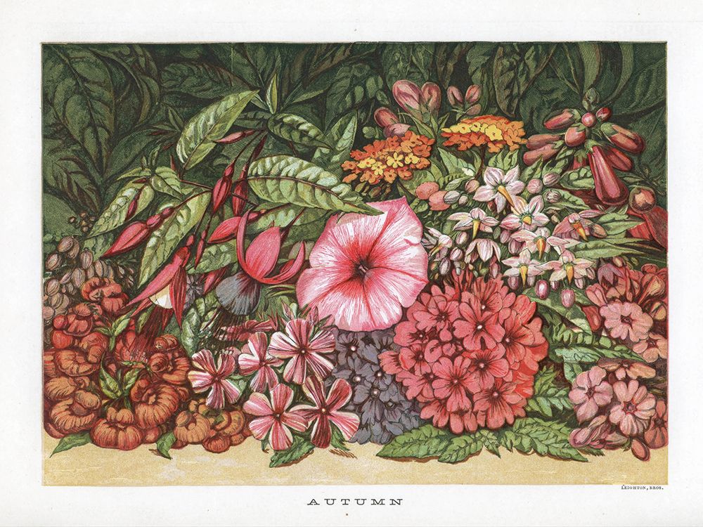 1866 vol. 22 - Autumn Flowers art print by London Almanack for $57.95 CAD