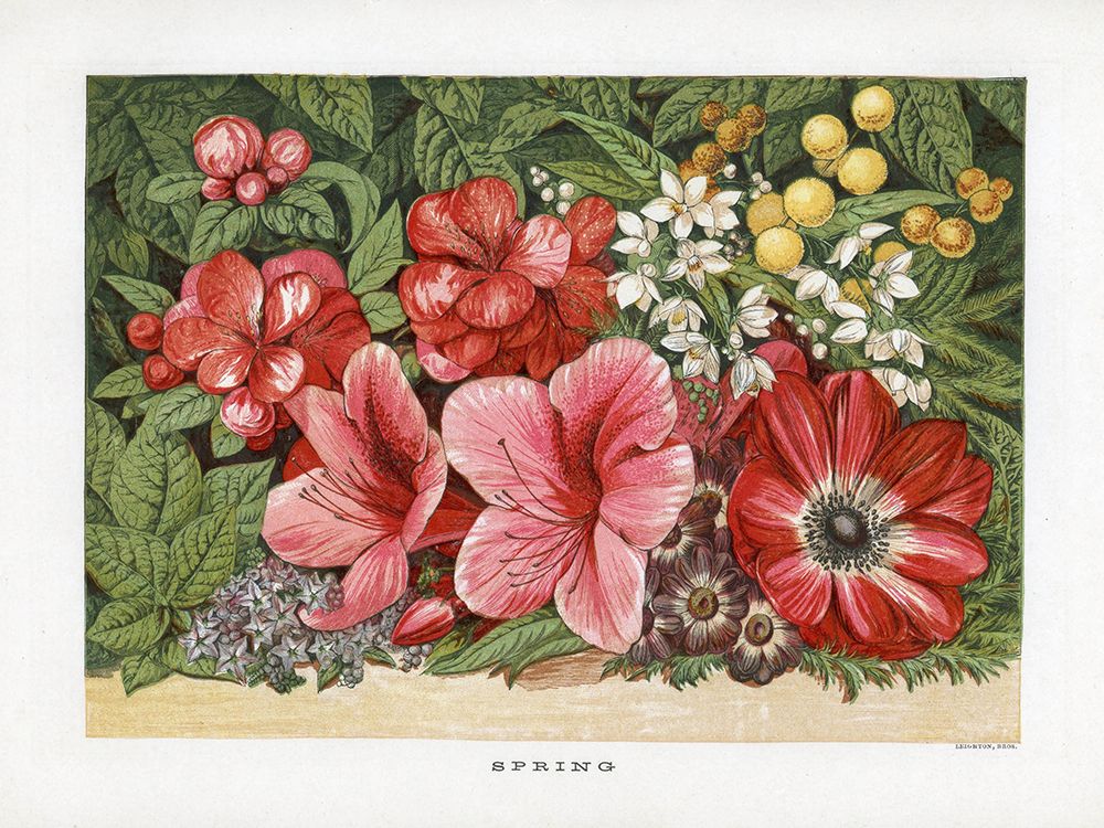 1866 vol. 22 - Spring Flowers art print by London Almanack for $57.95 CAD