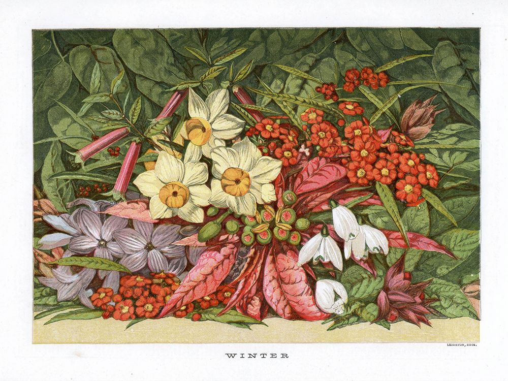 1866 vol. 22 - Winter Flowers art print by London Almanack for $57.95 CAD