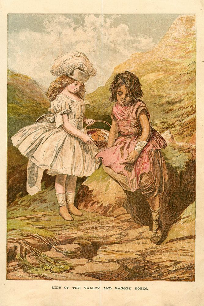 1867 vol. 23 - Lily of the Valley art print by London Almanack for $57.95 CAD