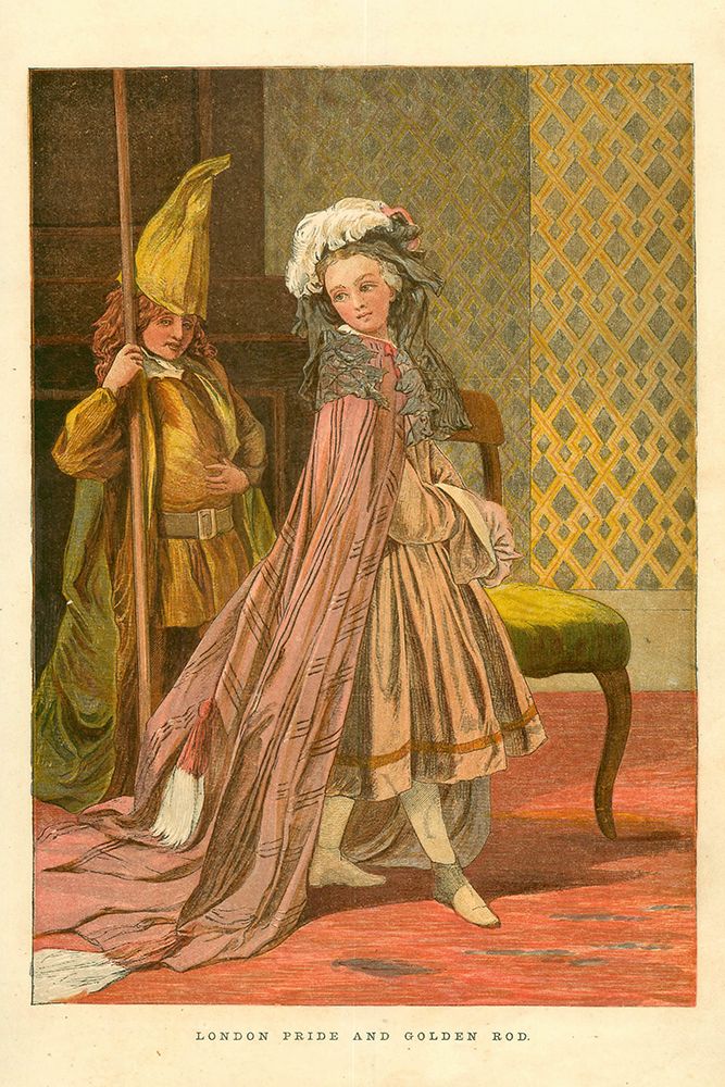 1868 vol. 24 - London Pride and Golden rod art print by London Almanack for $57.95 CAD