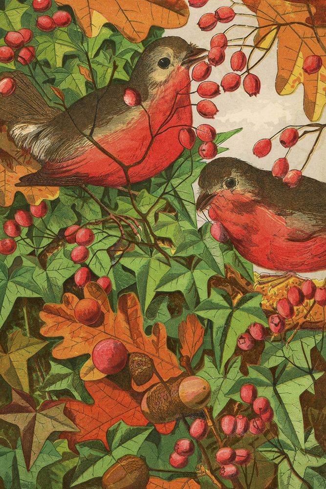1869 vol. 25 - Winter foliage and Birds art print by London Almanack for $57.95 CAD