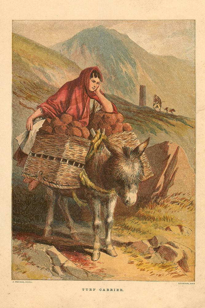 1871 vol. 27 - The Carrier art print by London Almanack for $57.95 CAD