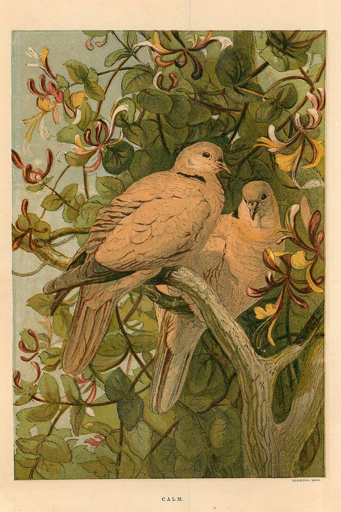 1872 vol. 28 - Summer doves art print by London Almanack for $57.95 CAD