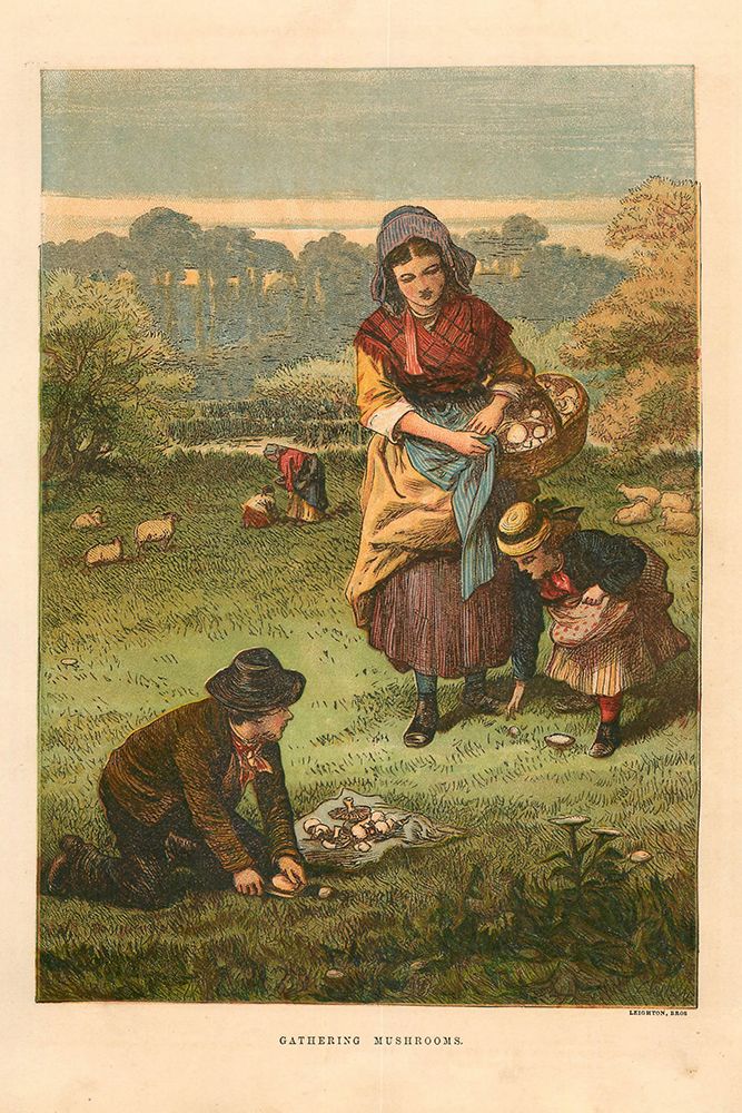 1873 vol. 29 - Gathering Mushrooms art print by London Almanack for $57.95 CAD