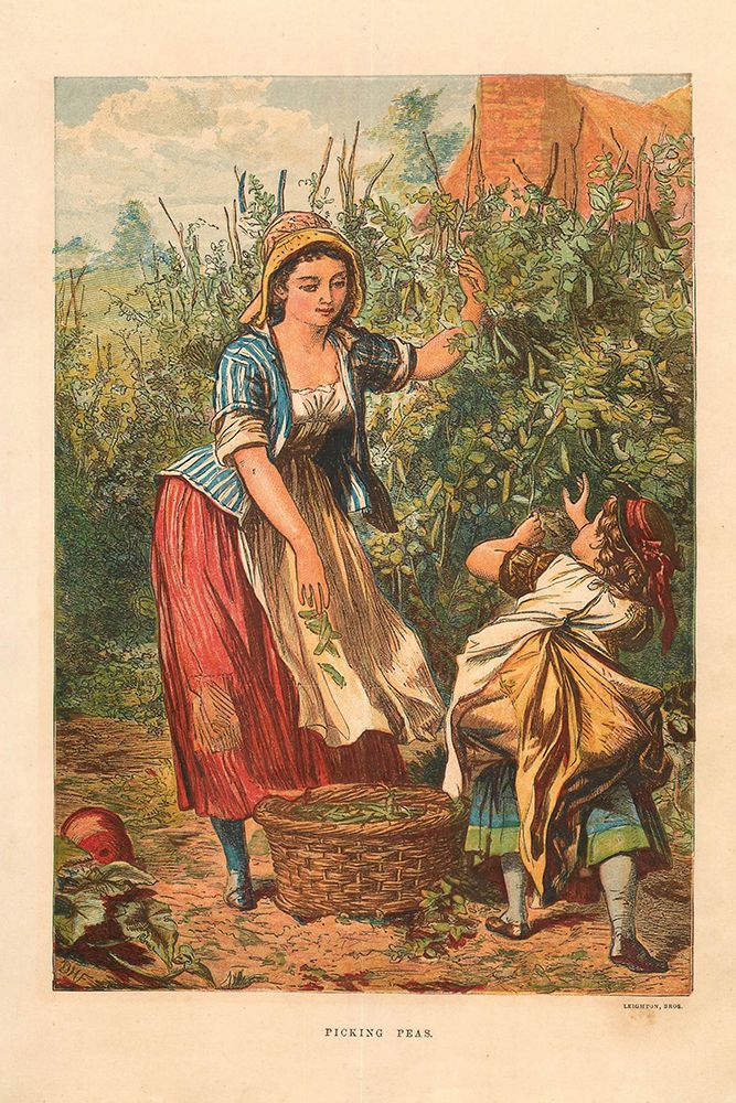 1873 vol. 29 - Picking peas art print by London Almanack for $57.95 CAD