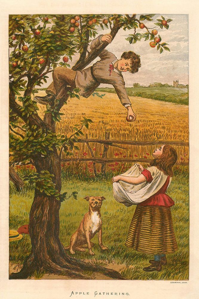 1878 vol. 34 - Apple gathering art print by London Almanack for $57.95 CAD