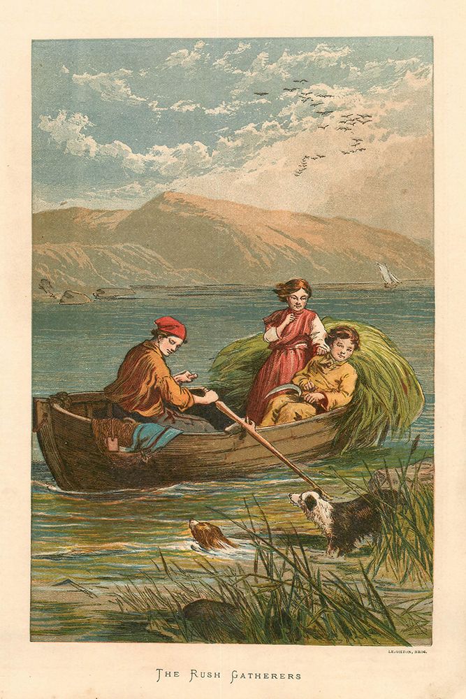 1878 vol. 34 - Rush gatherers art print by London Almanack for $57.95 CAD