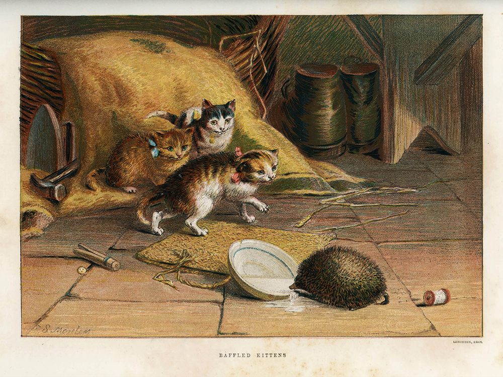 1880 vol. 36 - Baffled kittens art print by London Almanack for $57.95 CAD