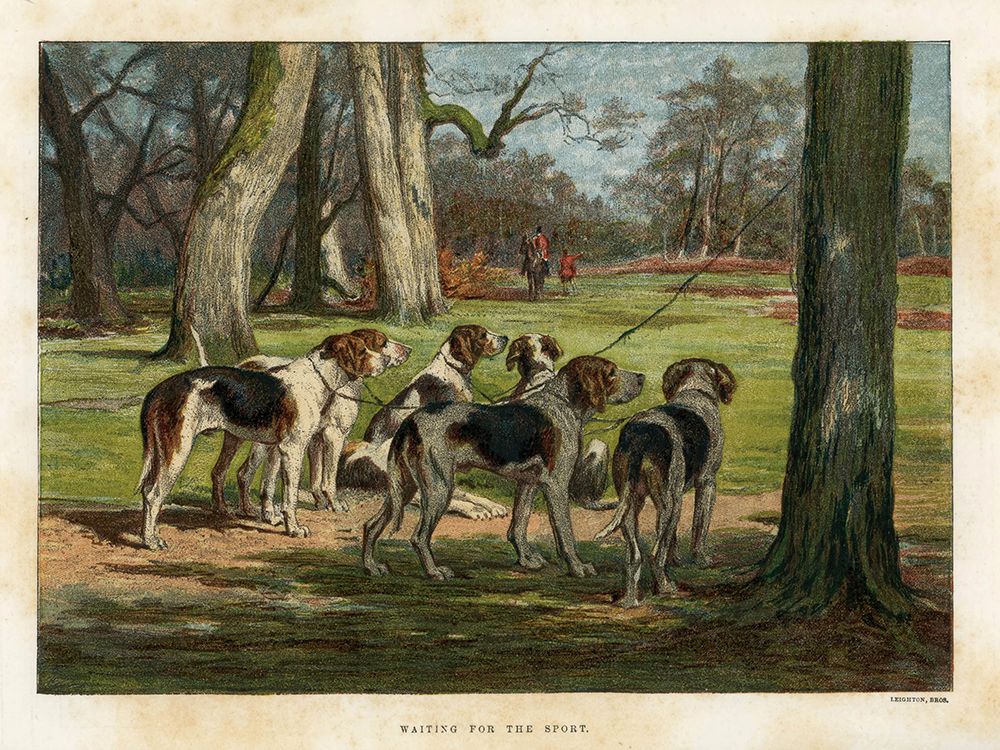 1880 vol. 36 - Dogs waiting for the sport art print by London Almanack for $57.95 CAD