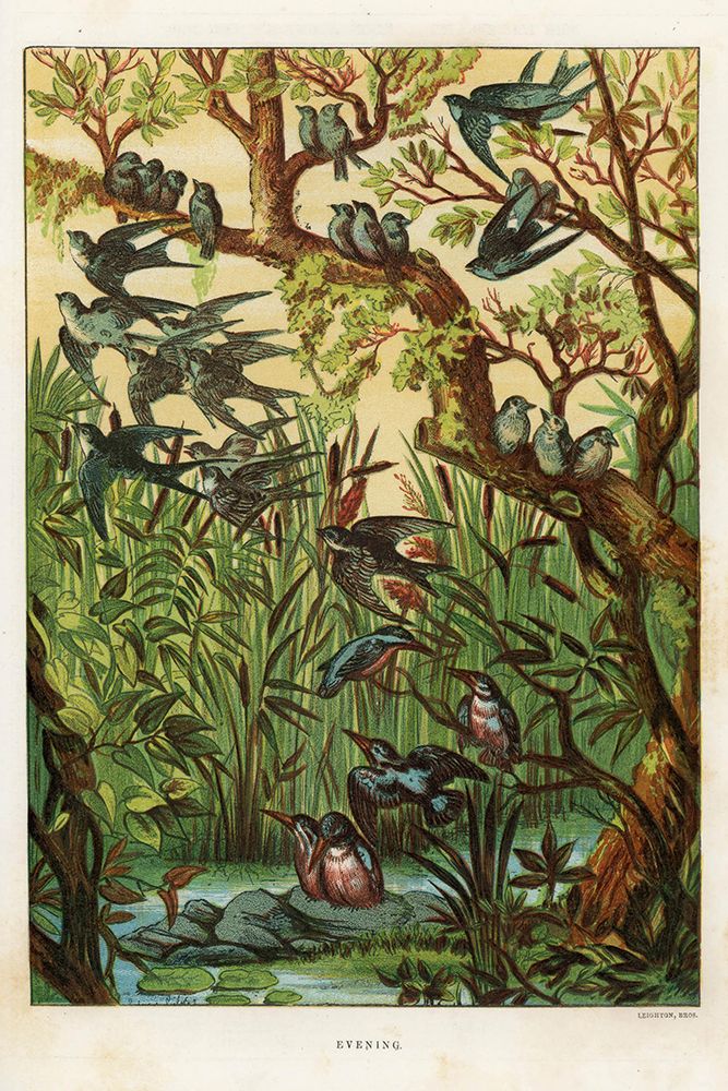 1880 vol. 36 - Evening Birds art print by London Almanack for $57.95 CAD