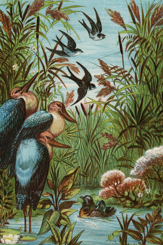 1880 vol. 36 - Morning Birds art print by London Almanack for $57.95 CAD