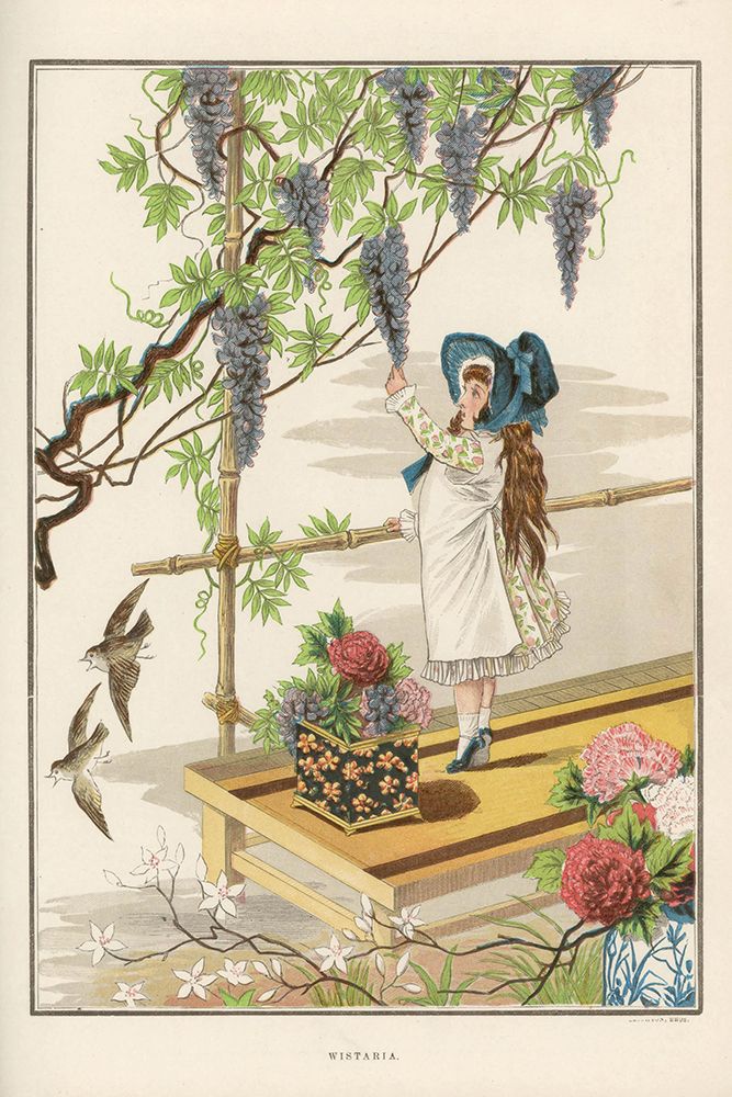 1882 vol. 38 - Wisteria art print by London Almanack for $57.95 CAD