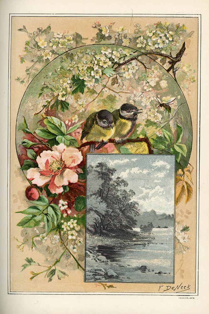 1883 vol. 39 - Tits art print by London Almanack for $57.95 CAD