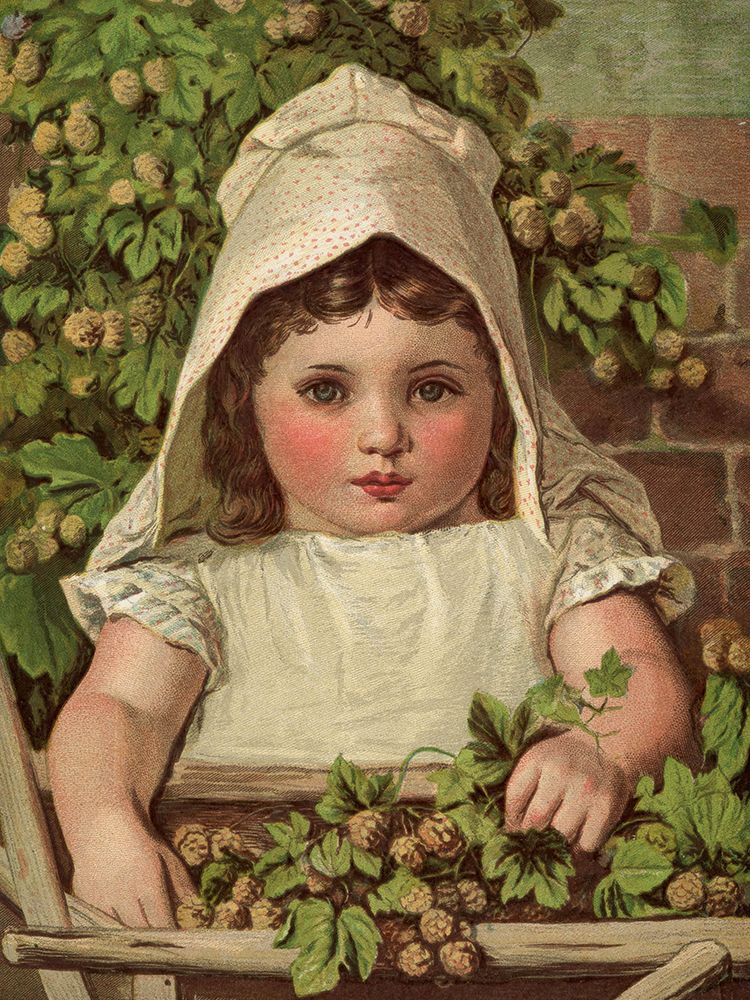 1884 vol. 40 - A young hop-picker art print by London Almanack for $57.95 CAD