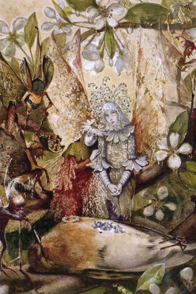 Who killed Cock Robin detail art print by John Anster Fitzgerald for $57.95 CAD