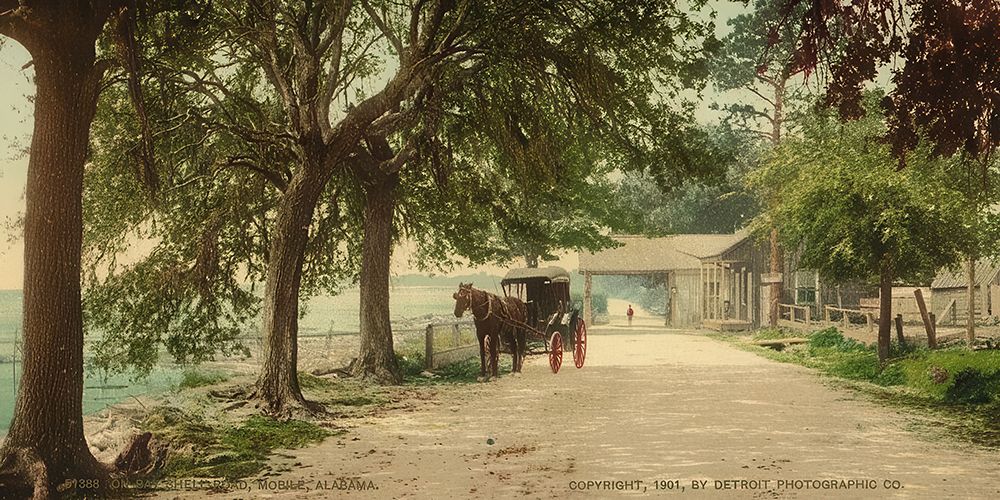 Alabama - on Bay Shell Road Mobile Ca 1901 art print by Vintage Photochrom United States for $57.95 CAD