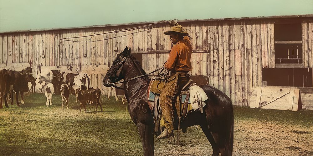 Arizona - Cowboy Throwing Lariat Ca 1898 art print by Vintage Photochrom United States for $57.95 CAD
