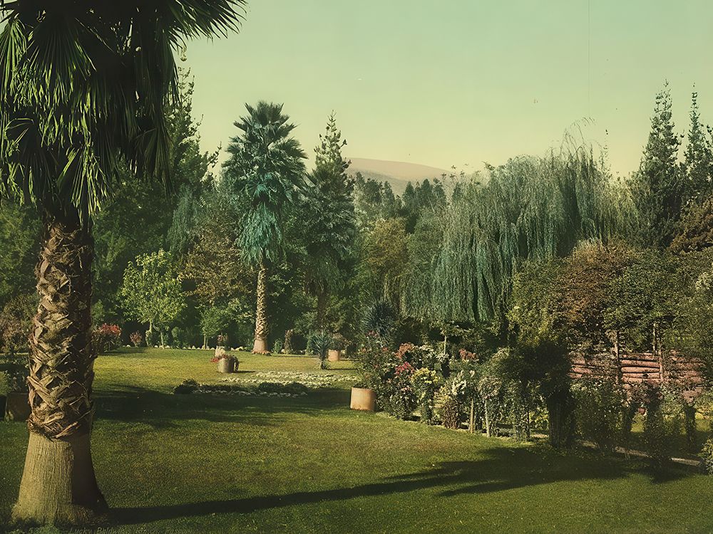 California - Lucky Baldwins Ranch Pasadena Ca 1898 art print by Vintage Photochrom United States for $57.95 CAD