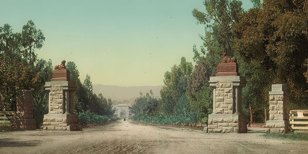 California - Main Entrance and Driveway Leland Stanford Junior University Ca 1898 art print by Vintage Photochrom United States for $57.95 CAD