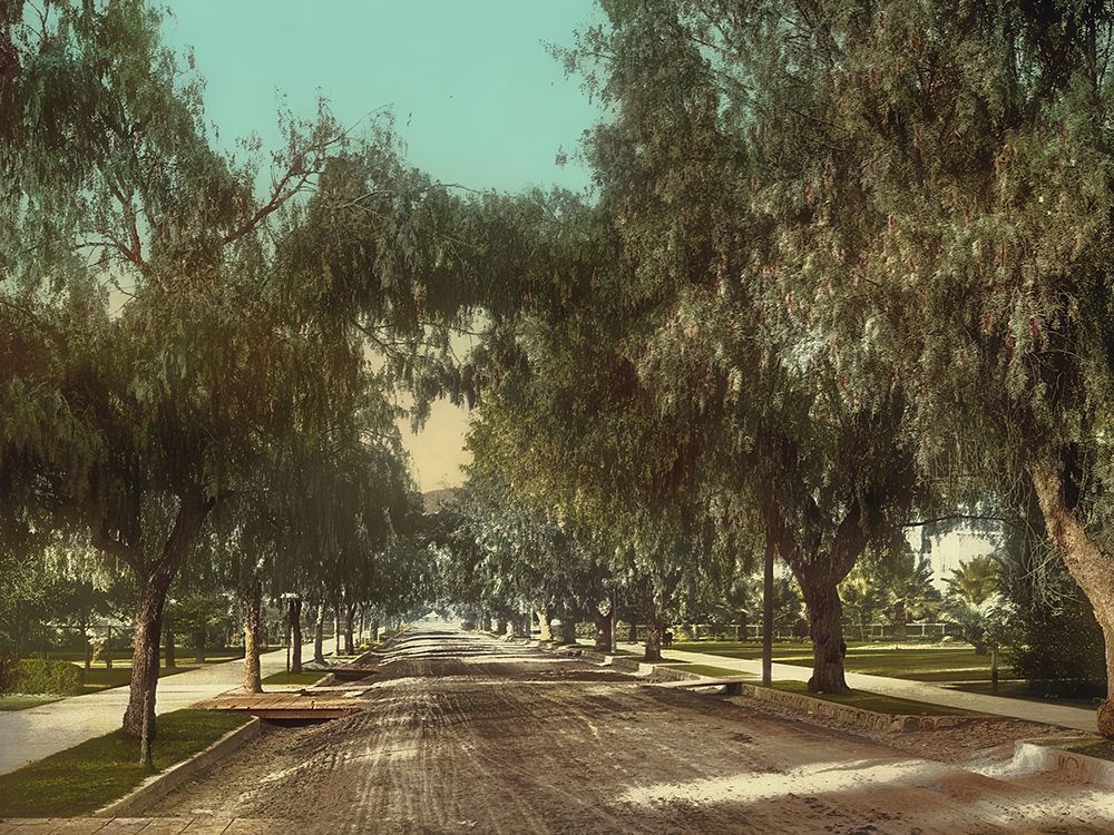 California - Marengo Avenue Pasadena Ca 1898 (2) art print by Vintage Photochrom United States for $57.95 CAD