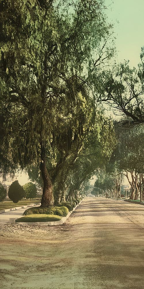 California - Marengo Avenue Pasadena Ca 1898 art print by Vintage Photochrom United States for $57.95 CAD