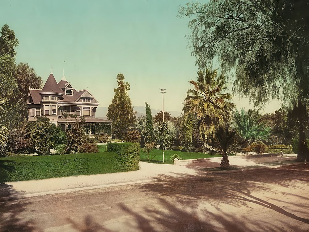 California - View on Palm Avenue Riverside Ca 1901 art print by Vintage Photochrom United States for $57.95 CAD
