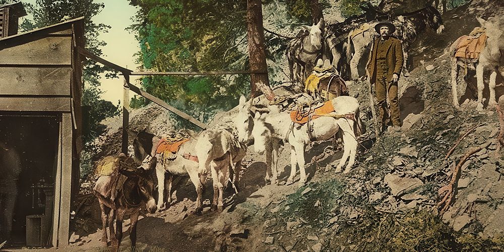 Colorado Burros at Silver Mine Ca 1898 art print by Vintage Photochrom United States for $57.95 CAD
