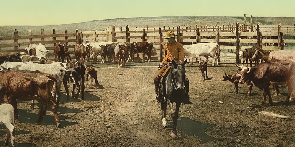 Colorado Round up in the Corral Ca 1898 art print by Vintage Photochrom United States for $57.95 CAD