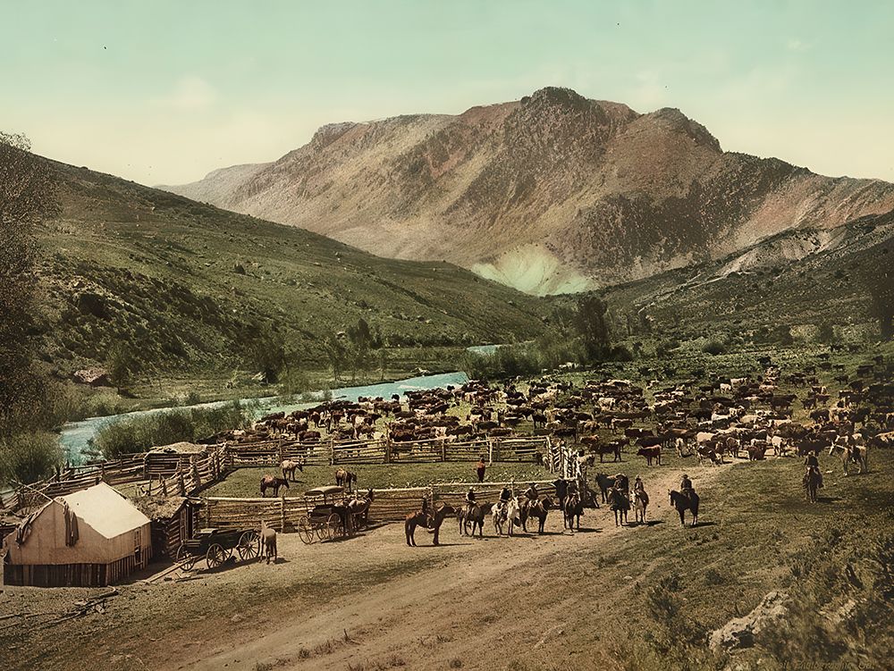 Colorado Round up on the Cimarron Ca 1898 art print by Vintage Photochrom United States for $57.95 CAD