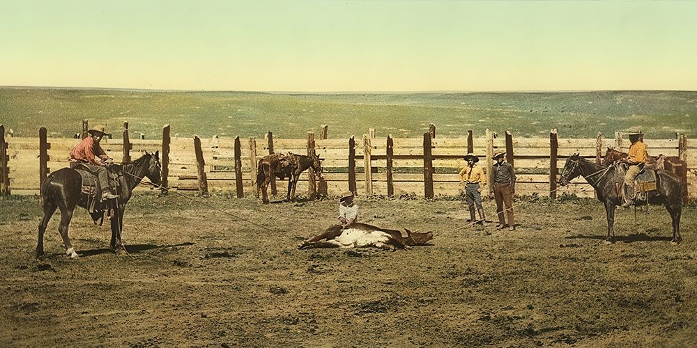 Colorado the Round up Roping a Steer Ca 1898 art print by Vintage Photochrom United States for $57.95 CAD