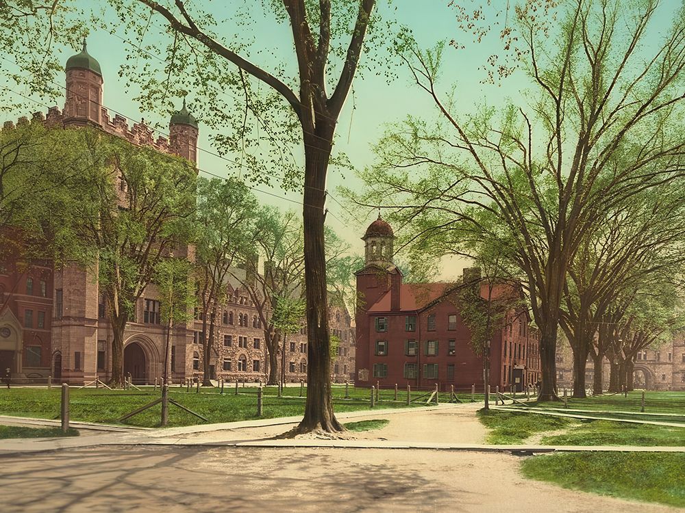 Connecticut - Phelps Hall and Lyceum Yale College Ca 1901 art print by Vintage Photochrom United States for $57.95 CAD