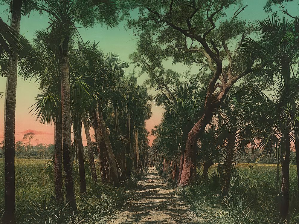 Florida - Old Causeway Near Ormond Ca 1898 art print by Vintage Photochrom United States for $57.95 CAD