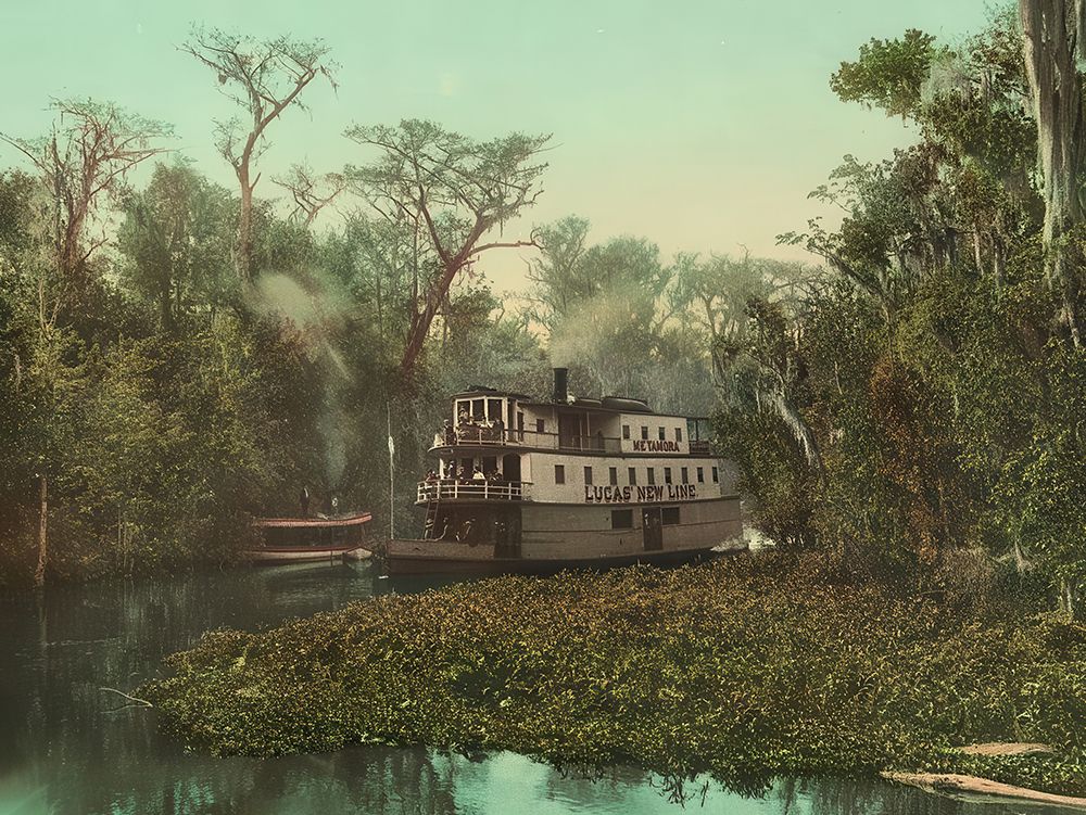 Florida - on the Ocklawaha Ca 1902 art print by Vintage Photochrom United States for $57.95 CAD