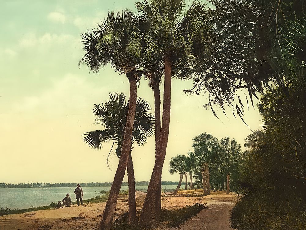 Florida - Scene Indian River Ca 1898 art print by Vintage Photochrom United States for $57.95 CAD