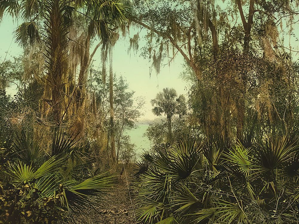 Florida - the St Johns River Ca 1898 art print by Vintage Photochrom United States for $57.95 CAD